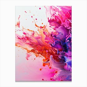 Colorful Paint Splash 2 Canvas Print