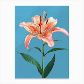 Lily on blue Canvas Print