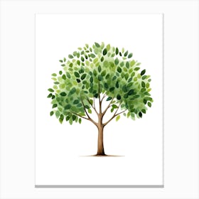 Tree With Leaves Canvas Print