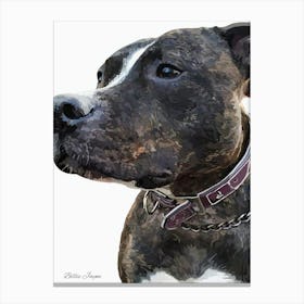 Staffy Portrait Canvas Print