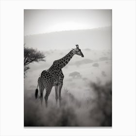 Giraffe In The Mist Canvas Print