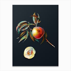 Vintage Peach Botanical Watercolor Illustration on Dark Teal Blue n.0165 Canvas Print