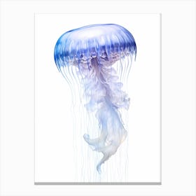 Sea Nettle Jellyfish Drawing 4 Canvas Print