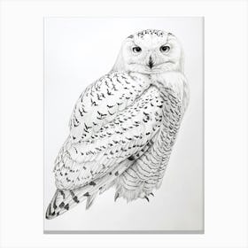 Snowy Owl Marker Drawing 1 Canvas Print