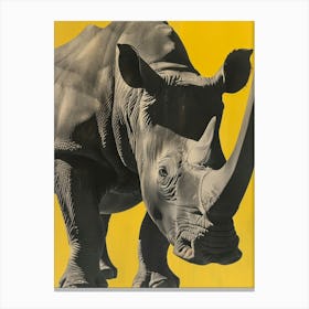 Rhino Canvas Print