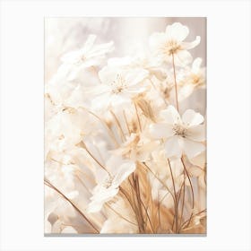 Boho Dried Flowers Phlox 2 Canvas Print