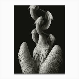 Pelican Canvas Print