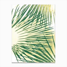 Green Palm Leaves cyanotype Canvas Print