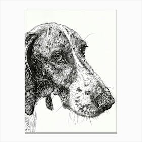 Bluetick Hound Dog Line Sketch 3 Canvas Print