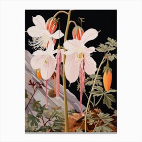 Flower Illustration Columbine 2 Canvas Print