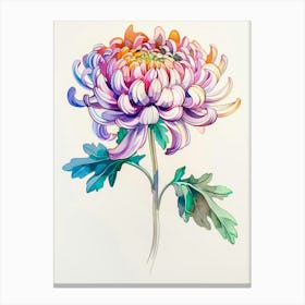 Chrysanthemum 8 Canvas Print