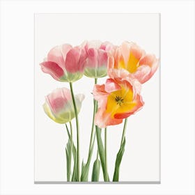 Bunch Of Tulips Flowers Acrylic Painting In Pastel Colours 8 Canvas Print