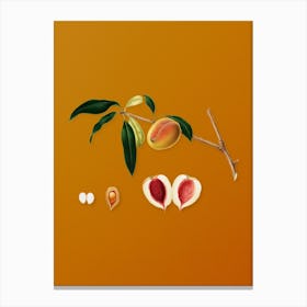 Vintage Peach Botanical on Sunset Orange n.0510 Canvas Print
