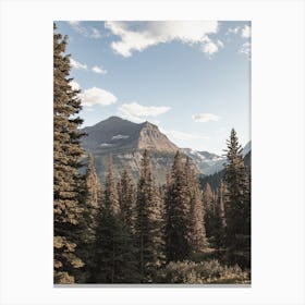 Wilderness Mountain View Canvas Print