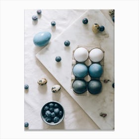 Blue Eggs And Blueberries Canvas Print