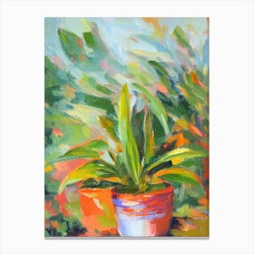 Calathea 2 Impressionist Painting Plant Canvas Print