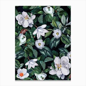 Lush Midnight Magnolia Flowers Garden Canvas Print