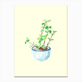 Green Plant In Blue Pot Canvas Print