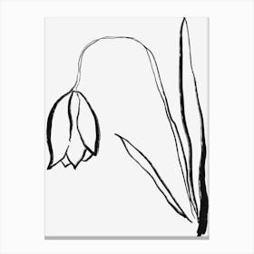 Daffodil Canvas Print