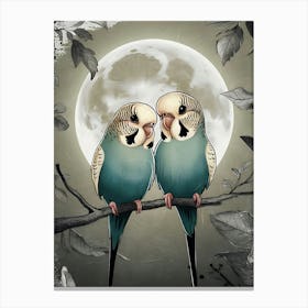 Couple Of Parakeets Canvas Print