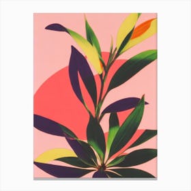 Blackberry Lily 2 Colourful Illustration Plant Canvas Print