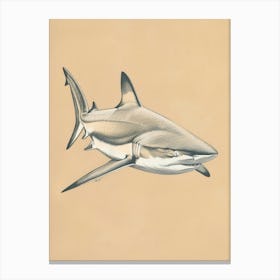 Blacktip Reef Shark  Vintage Illustration 6 Canvas Print