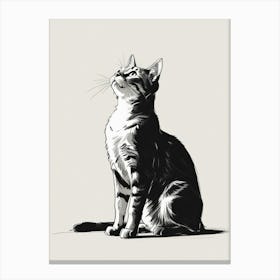 Cat Drawing 4 Canvas Print