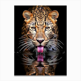 Leopard Drinking Water Canvas Print