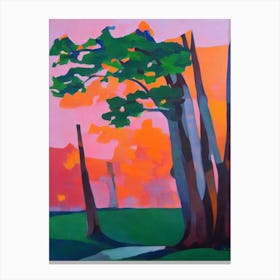 Laurel Oak Tree Cubist Canvas Print