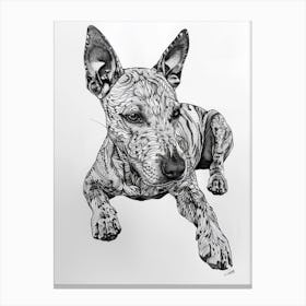 Miniature Bull Terrier Line Sketch 3 Canvas Print
