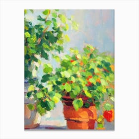 Pilea 2 Impressionist Painting Plant Canvas Print