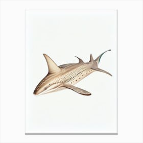 Angel Shark Vintage Canvas Print