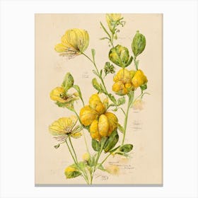 Yellow Flowers Farmhouse Botanical Canvas Print
