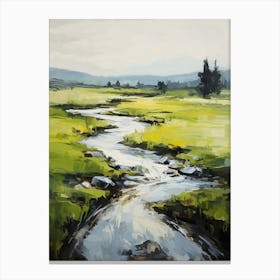 Stream In The Meadow Canvas Print