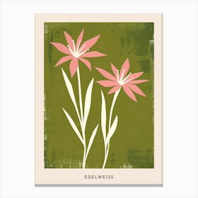 Pink & Green Edelweiss 1 Flower Poster Canvas Print