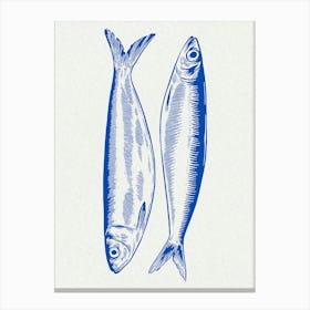 Two Sardines Canvas Print