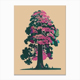 Sequoia Tree Colourful Illustration 1 Canvas Print