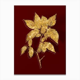 Vintage American Hophornbeam Botanical in Gold on Red n.0314 Canvas Print