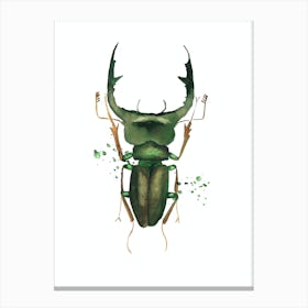 Green Deer Beetle Canvas Print