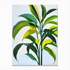 Schefflera Bold Graphic Plant Canvas Print