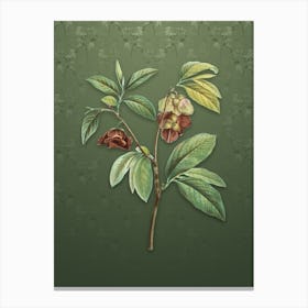Vintage Papaw Tree Botanical on Lunar Green Pattern n.0717 Canvas Print
