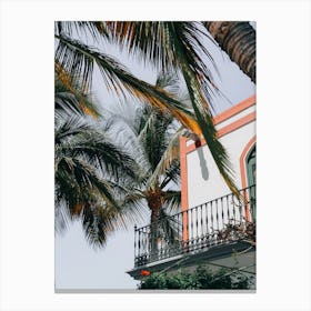 Palm Trees In Front Of A House Canvas Print