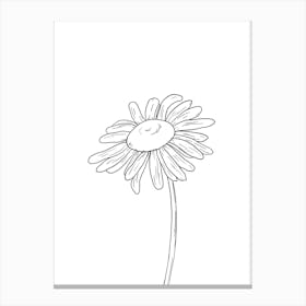 Daisy Line Drawing 2 Canvas Print