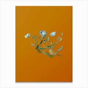 Vintage Shewy Nemophila Botanical on Sunset Orange n.0923 Canvas Print