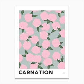 Carnation January Birth Flower Canvas Print