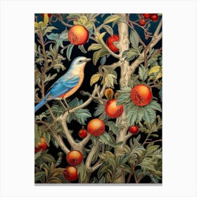 Bluebird With Pomegranate Canvas Print