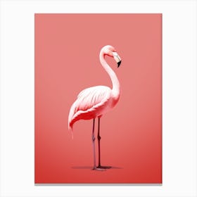 Minimalist Flamingo 1 Illustration Canvas Print