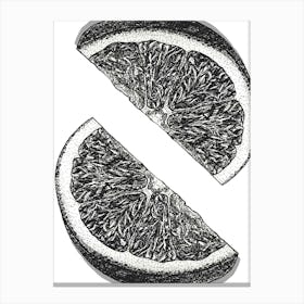 Black and White Citrus Fruit Illustration-Orange Slices Artwork Toile