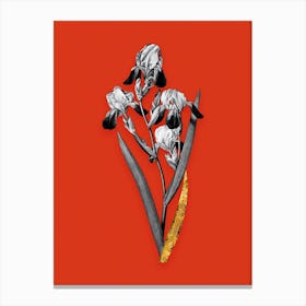 Vintage Elder Scented Iris Black and White Gold Leaf Floral Art on Tomato Red n.0261 Canvas Print