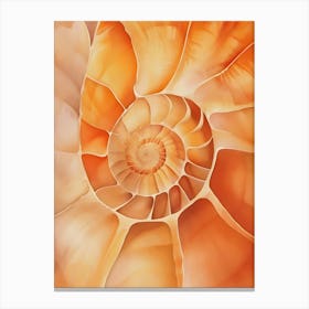 Nautilus Shell 12 Canvas Print